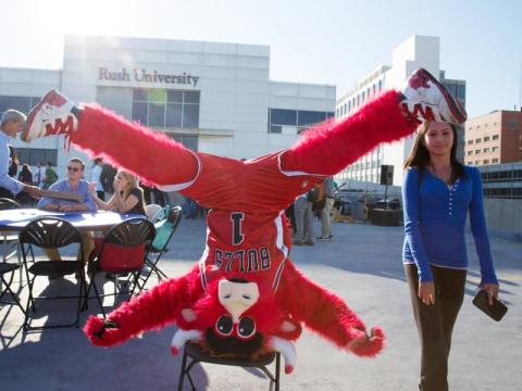 Benny the Bull doing a headstand